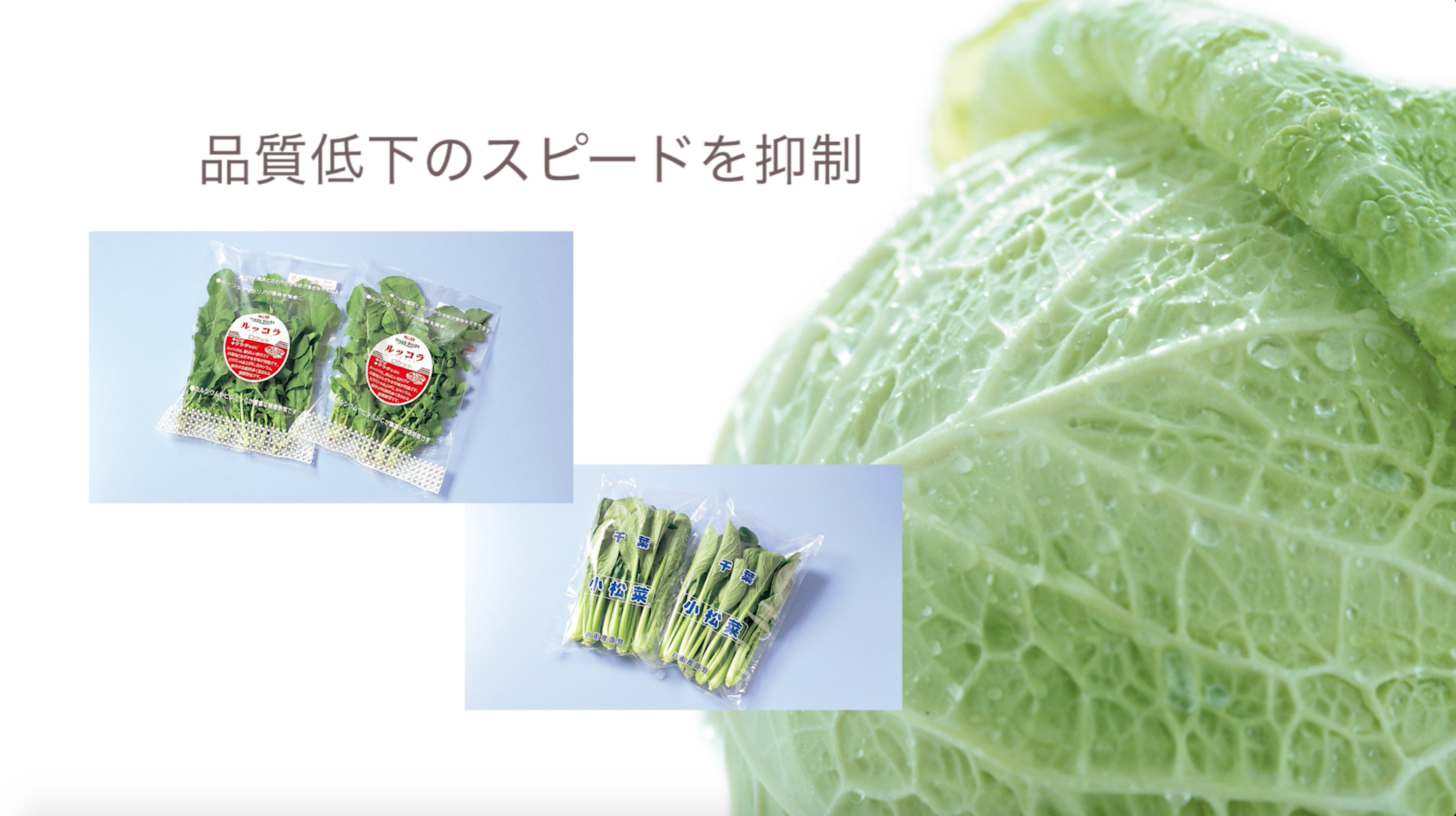 住友ベークライト1