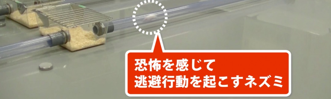 s_%ef%bc%91